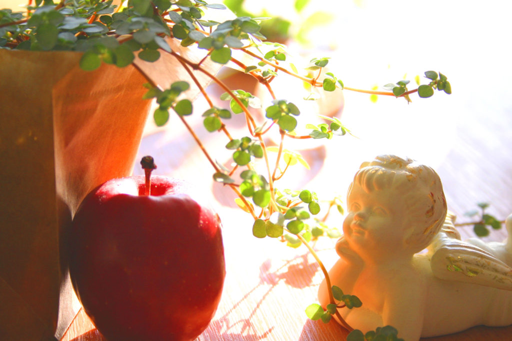 りんごと天使の写真